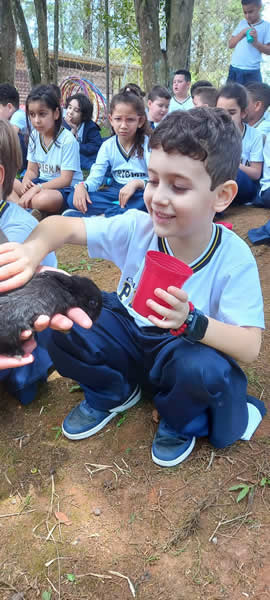 Bicho Mania 2022